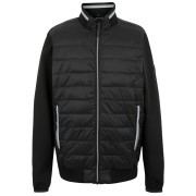 Herrenjacke Regatta Brennon Hybrid