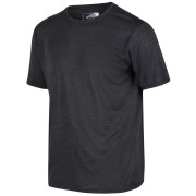 Herren-T-Shirt Regatta Fingal Edition dunkelgrau Ash
