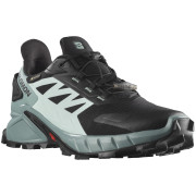Damen Laufschuhe Salomon Supercross 4 GTX schwarz/blau black/trellis