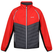 Herrenjacke Regatta Steren Hybrid rot Seville/SlGr