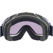 Damen Ski-Brille Salomon Ivy Sigma