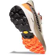 Herren Laufschuhe Dynafit Ultra 100 V3