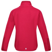 Kinder-Sweatshirt Regatta Jr Highton FZ IV