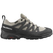 Wanderschuhe Salomon X Ward Leather Gore-Tex