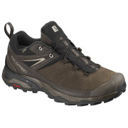 Herrenschuhe Salomon X Ultra 3 Ltr GTX braun Delicioso/BungeeCord/VitnageKaki