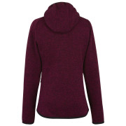 Damen-Sweatshirt Regatta Women’s Hooded Newhill