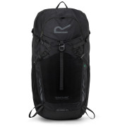 Rucksack Regatta Blackfell IV 35L schwarz Black