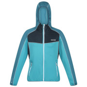 Damen-Sweatshirt Regatta Womens Attare hellblau Pagoda/Drgnf