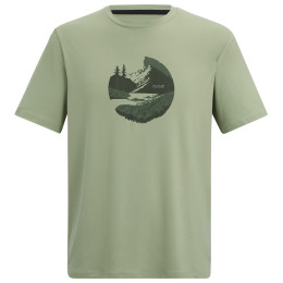 Herren-T-Shirt Regatta Fingal Stretch grün Light Sage