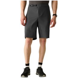 Herrenshorts Dare 2b Descent Short
