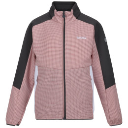 Kinder-Sweatshirt Regatta Jnr Highton FZ II hellrosa DuskyRs/SlGy