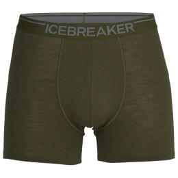 Herren-Boxershorts Icebreaker Mens Anatomica Boxers grün LODEN