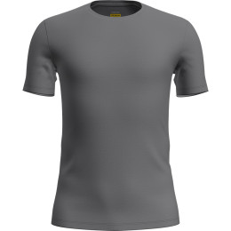 Herren-T-Shirt Icebreaker M Anatomica SS Crewe grau Jet Heather-011