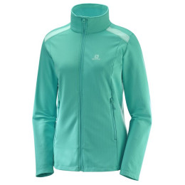 Damen-Sweatshirt Salomon Discovery Lt Fz W grün Waterfall