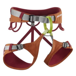 Herren Klettergurt Edelrid Jay IV orange 625 hokkaido