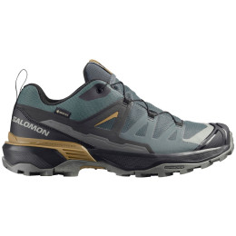 Herrenschuhe Salomon X Ultra 360 Gore-Tex
