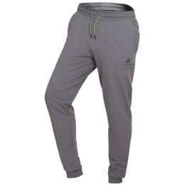 Herrenhose Alpine Pro Comm grau grey