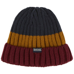 Wintermütze Regatta Davion Hat V
