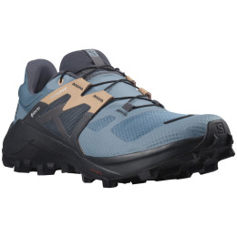 Damenschuhe Salomon Wildcross 2 Gore-Tex blau Bluestone