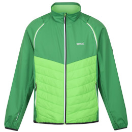 Herrenjacke Regatta Steren Hybrid grün Field Green/Jasmine Green