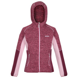 Damen-Sweatshirt Regatta Walbury IV lila Violet/AmaHz