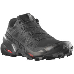 Herrenschuhe Salomon Speedcross 6