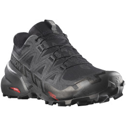 Herren Laufschuhe Salomon Speedcross 6 Gore-Tex