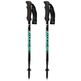 Trekkingstöcke Fizan Compact 4 grün green