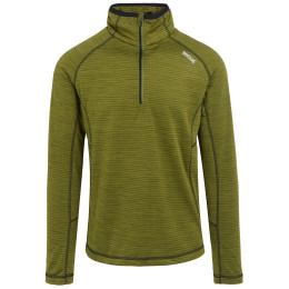Herren Funktions-Sweatshirt Regatta Yonder II grün NephiteGreen
