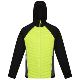 Herren-Winterjacke Regatta Andreson VII Hybrid grün BriKiwi/Blk