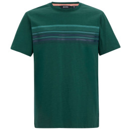 Herren-T-Shirt Regatta Rendro grün Mediterranea