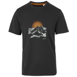Herren-T-Shirt Regatta Fingal Stretch grau Ash