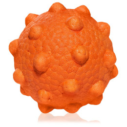Hundespielzeug Explorer Dog AirBall Tips 8 cm orange Oranžová