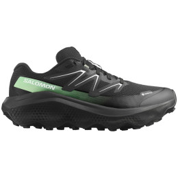 Herrenschuhe Salomon Ultra Flow 2 Gore-Tex