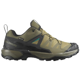 Herrenschuhe Salomon X Ultra 360 Gore-Tex