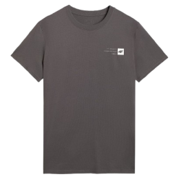 Herren-T-Shirt 4F Tshirt M3131 grau MIDDLE GREY