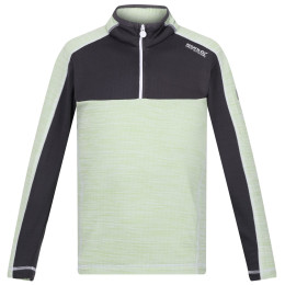 Kinder-Sweatshirt Regatta Hewley hellgrün Quiet Green/Seal Grey