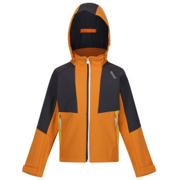 Kinderjacke Regatta Haydenbury orange Orange Pepper/Seal Grey