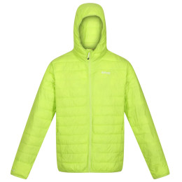 Herren-Winterjacke Regatta Hooded Hillpack grün Bright Kiwi