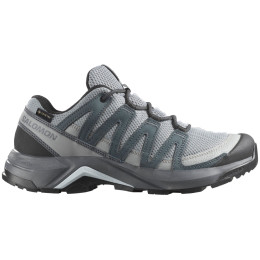 Damen Trekkingschuhe Salomon X-Adventure Recon Gore Tex grau Monument / Turbulence / Ballad Blue