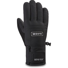 Handschuhe Dakine Bronco Gore-Tex Glove schwarz Black