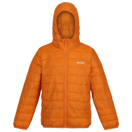 Kinderjacke Regatta Jr Hooded Hillpck braun Autumn Maple