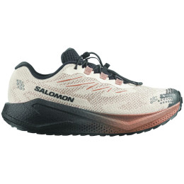 Herrenschuhe Salomon Aero Blaze 4 Grvl Gtx