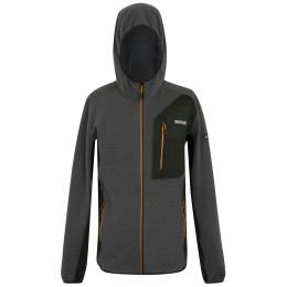 Herren-Sweatshirt Regatta Lakewright grau Ash/Black