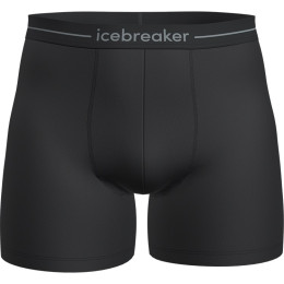 Herren-Boxershorts Icebreaker Mens Anatomica Boxers schwarz/weiß Black