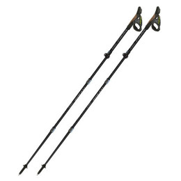Trail Running Stöcke Fizan RFP Trail/NW schwarz/grau black