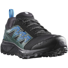 Herren Laufschuhe Salomon Wander Gore-Tex