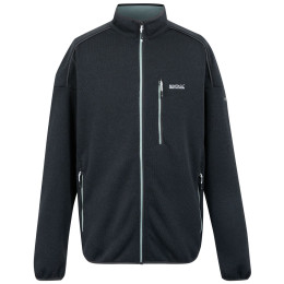 Herren-Sweatshirt Regatta Kames grau Ash(Glacier)