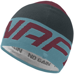 Mütze Dynafit Radical Beanie blau Blue