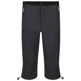 Herren 3/4 Hose Regatta Xert Str CapriIII grau Seal Grey